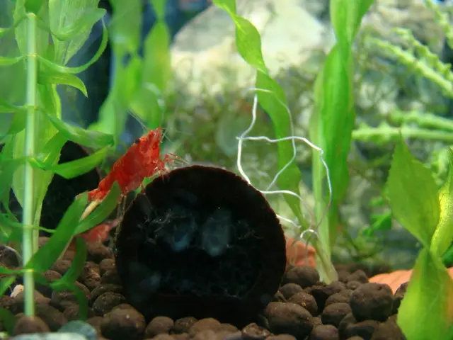 Data Digest: Top News in Information Technology