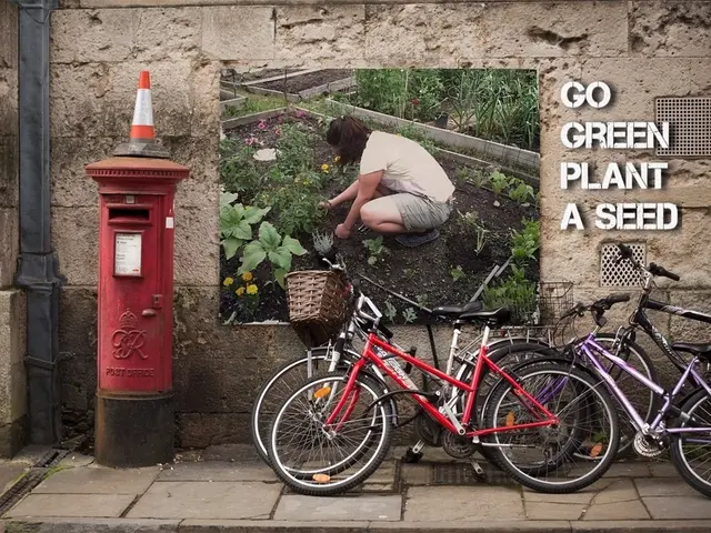 Bicyclists using public transit trams
