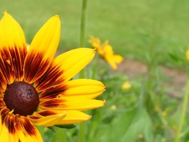 Uncertain earnings for Pennsylvania from the federal government's $50 billion rural hospital aid...