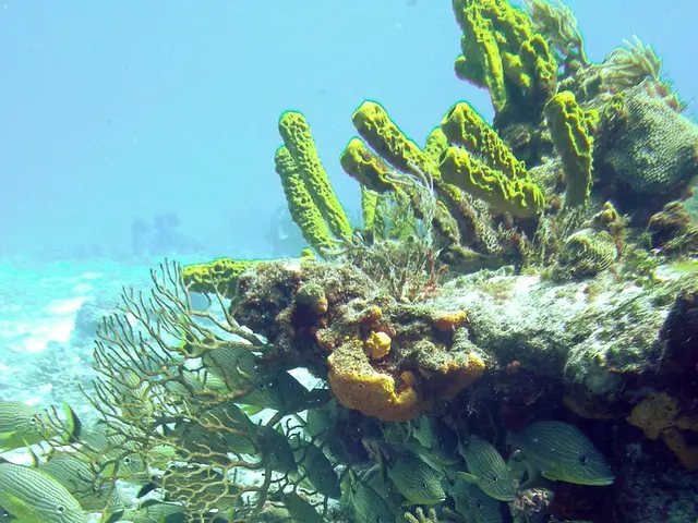 Tune in to National Geographic on Saturday, June 7, at 9/8c for the ocean-themed documentary 'Ocean...