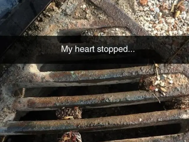 Heart Failure Explained: A Comprehensive Look at Cardiac Dysfunction