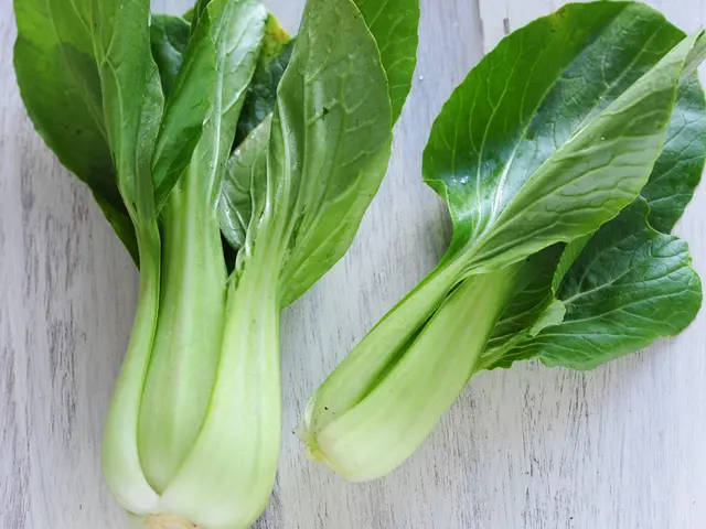 Boosting Sugar Content in Greenery: Amplifying Sweets and Taste in Plants