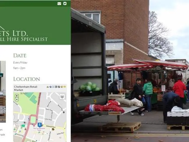 Connection Between Vitamin D and Cholesterol Levels