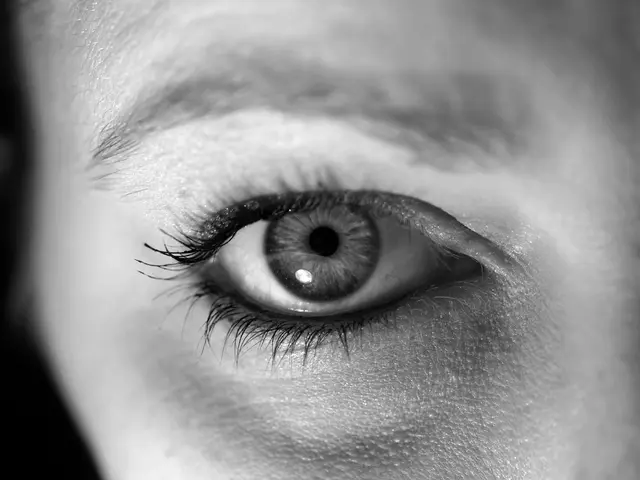 Enhances Eyebrow Thickness with Oil Application