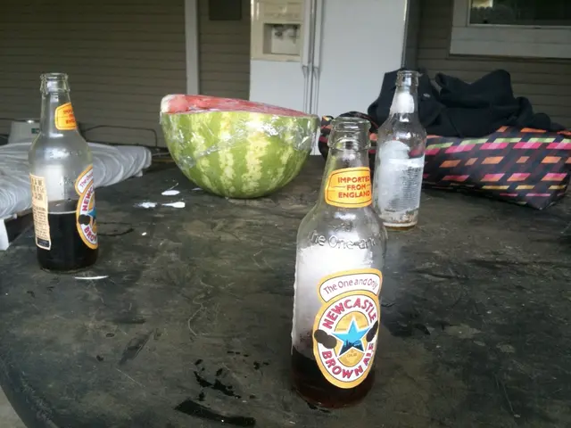 This is the picture on the table where we have three bottles and a watermelon on it.