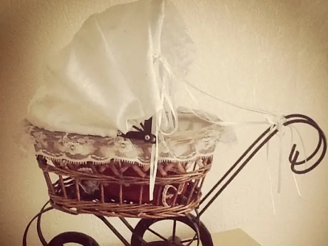 In this image we can see a baby stroller placed on a table.