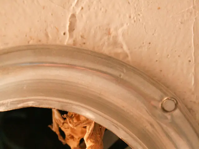 In this image I can see a lizard skeleton I can see a bulb holder with a bulb In the left bottom...