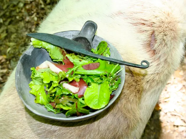In this picture there are leaves in the bowl. On the bowel there is a knife. The bowl is placed on...